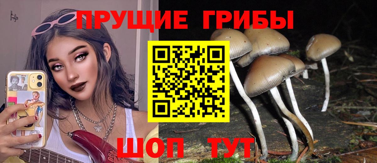 Галлюциногенные грибы Psilocybine cubensis  Вход с VPN  Шахты 